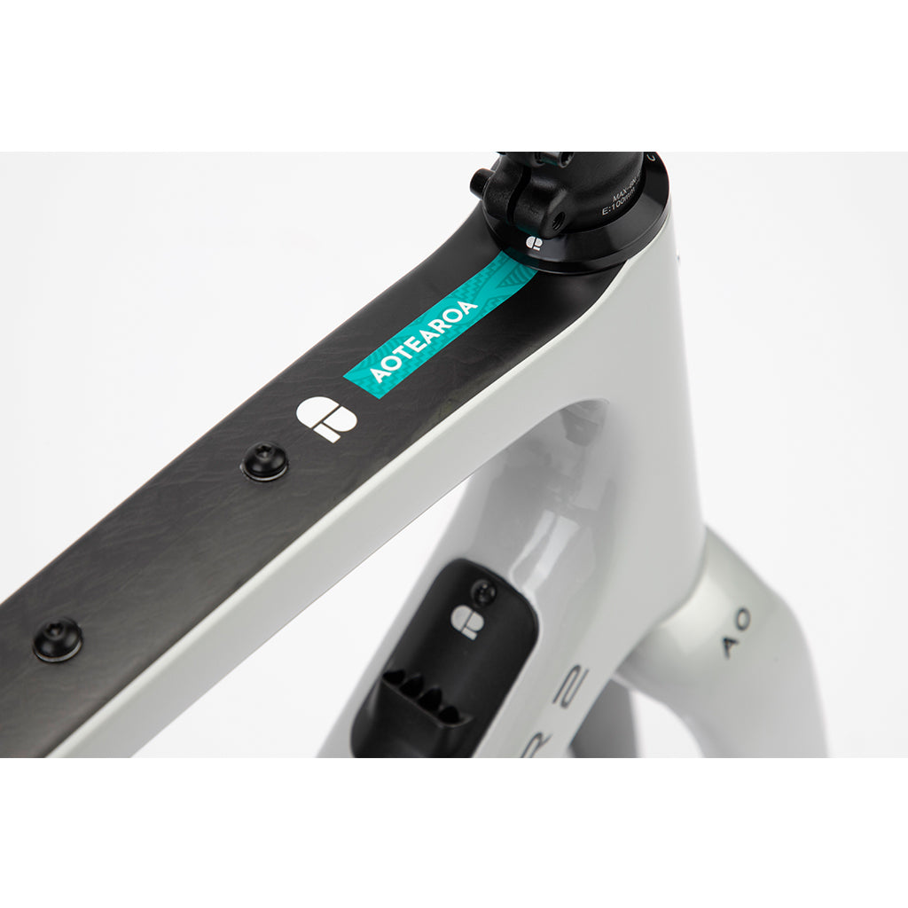 Chapter2 AO Gravel Disc Brake Frameset (Silver Matt)