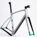 Chapter2 AO Gravel Disc Brake Frameset (Silver Matt)