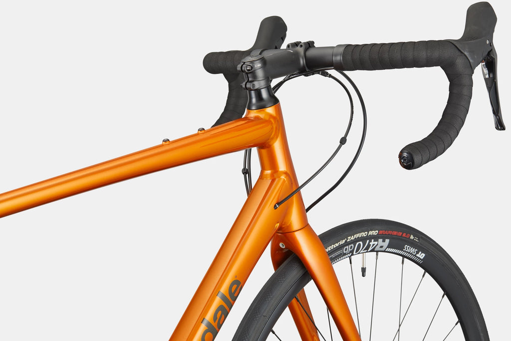 Cannondale Synapse 2 (Tiger Eye)