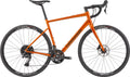 Cannondale Synapse 2 (Tiger Eye)