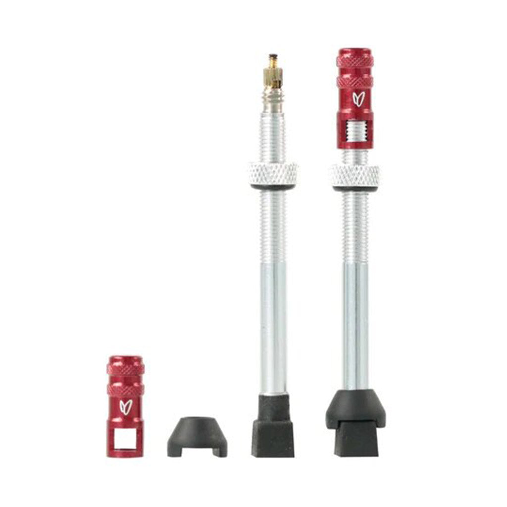Effetto Marriposa Tubeless Valves 70mm -Silver (Pack Of 2)